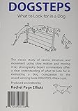 Dogsteps