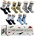 Tiny Captain Boy Dinosaur Socks 4-7 Year Old Boys Crew Cotton Sock Perfect Age 5 Gift Set (Medium, Blue and Grey)