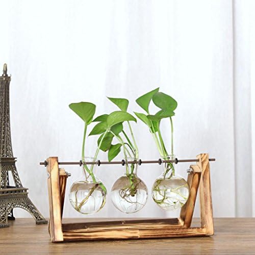 Dingji Creative Clear Hydroponic Plant Transparent Vase Wooden Frame Coffee Shop Room Decr (28x14 CM)