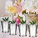 Klikel Mint Julep Cup - Moscow Mule - Use For Kentucky Derby - Classic Beaded Trim Border -stainless Steel 12oz Set Of 4