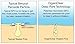 OrganiClear Acne Treatment Kit-30 Day Supply, Includes Morning Benzoyl Peroxide Cream, Salicylic Acid Cleanser, and Chamomile Soothing Night Lotion, Helps Cystic Acne, Hormonal Acne, Adult Acne