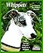 Whippets (Complete Pet Owner's Manuals) by D. Caroline Coile Ph.D.