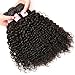 Beauty Forever Hair 8A Malaysian Virgin Curly Hair Weave 1piece Bundle Unprocessed Human Virgin Remy Hair Extensions Bundle Deals Natural Color 95-100g (26 inch)