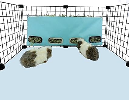 Amazon Com Guinea Pig Hay Bag Feeder Large Aqua Pet Supplies