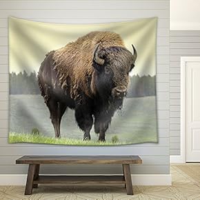 Bison in Grasslands of Yellowstone National Park in Wyoming in The United States of America - Fabric Wall Tapestry Home Decor - 51x60 inches