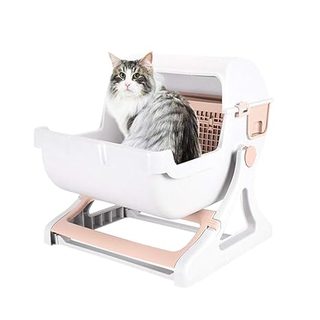 Cajas de arena para gatos | Todo gatos