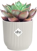 elho Vibes Fold Round Mini Pot 11.1 cm Indoor White view 3