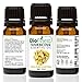 BioFinest Frankincense Oil - 100% Pure Frankincense Essential Oil - Therapeutic Grade - Premium Quality - Best For Immune System, Wrinkles, Scars & Stretch Marks - FREE E-Book (10ml)