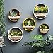 3 Pack Set Wall Planters Modern Wall Vase Succulent Planter Circle Flower Pot Metal Iron Indoor Vertical Container Wall Hanging Home Decoration Size S,M,L Coffee, Include 3 Artificial Succulent Plantsthumb 1