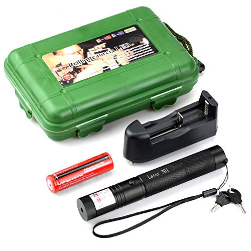 Green Laser Pointer Tactical Hunting Rifle Scope Sight Laser Pen, Demo Remote Pen Pointer Projector Travel Outdoor Flashlight, LED Interactive Baton Funny Laser Toy