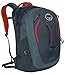 Osprey Comet Daypack, Armor Grey