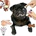 The Blissful Dog Black Pug Nose Butter, 2-Ounce