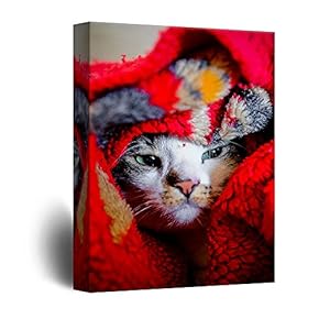 Canvas Wall Art - Cat Under a Red Blanket - Giclee Print Gallery Wrap Modern Home Art Ready to Hang - 12x18 inches