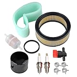 Panari 47 883 03-S1 Air Filter + Oil/Fuel Filter Spark Plug for Kohler CH18 CH20 CH22 CH23 CH25 CV17 CV18 CV19 CV20 CV22 CV22S CV23 Engine Lawn Mower