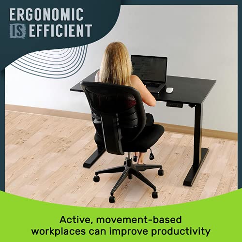 TechOrbits Electric Standing Desk Tabletop 47 Inch Motorized