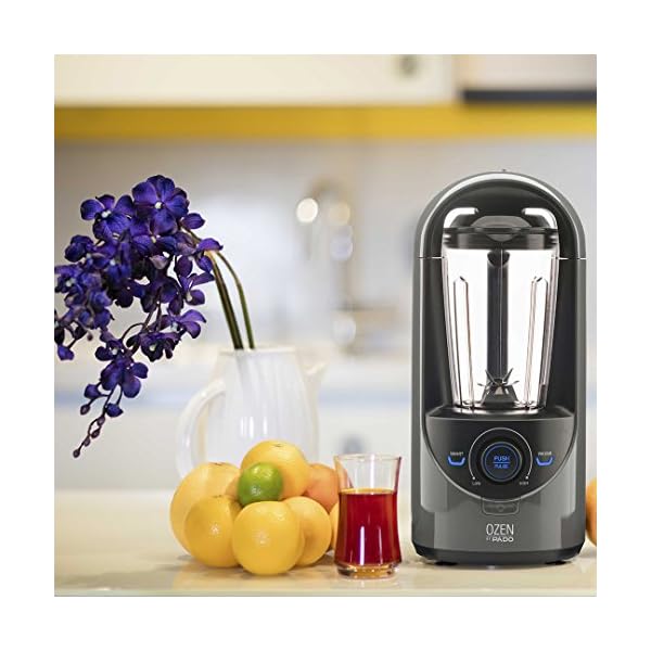 Pado Ozen 310 Vacuum Blender, Countertop Kitchen Blender for Nutrient