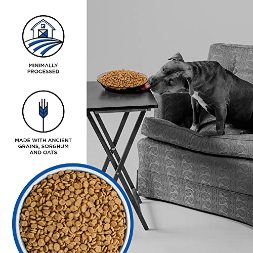 BIXBI LIBERTY GRAIN FRIENDLY DRY DOG FOOD, GAME BIRD FEAST RECIPE, 4 LBS – FRESH MEAT, NO MEAT MEAL, NO FILLERS – GENTLY STEAMED & COOKED – NO SOY, CORN, RICE OR WHEAT FOR EASY DIGESTION – USA MADE