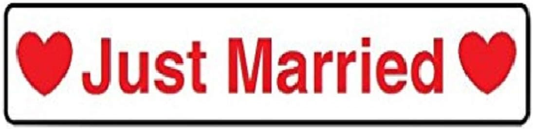Car Plate Set of 2 "Just Married"-Wedding / Plate