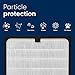 Blueair Classic Replacement Filter, 200/300 Series Genuine SmokeStop Filter, Pollen, Dust, Odor Removal; 203, 270E, 303, 201, 250E, 215B, 210B, 205