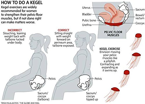 Premium Kegel Exerciser Training Kit - For Bladder Control ...