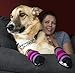 RC Pet Products Pawks Dog Socks, Medium, Purple Stripes