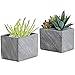 MyGift 6 Inch Terracotta Ceramic Herb Pots, Rectangular Succulent Planter Containers, Set of 2, Gray