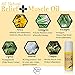 Relief Plus Arnica Muscle Oil – All Natural Highly Concentrated Roll On - Cypress, Eucalyptus & Helichrysum Essential Oils & Menthol for Sore Muscles, Aching Joints by Brookethorne Naturals