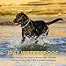 Luckgot Dog Training Collar for 2 Dogs Waterproof and Rechargeable Shock Collar with Security Anti-Shock Remote,Beep Vibration and Shock Modes for Small Medium and Large Dogs Range 1600 Ftthumb 4