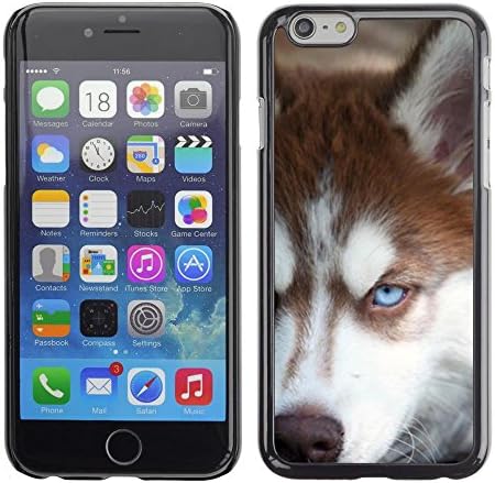 LASTONE PHONE CASE / Slim Protector Hard Shell Cover Case for Apple Iphone 6 Plus 5.5 / Siberian Husky Alaskan Malamute Dog