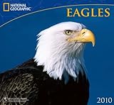 Eagles National Geographic 2010 Wall Calendar by 