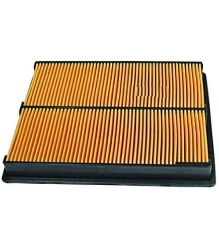 Amazon.com: MOWFILL 17210-ZJ1-842 Air Filter with 17218-ZJ1-840