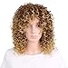 Mildiso Short Wigs for Black Women Afro Curly Wig Kinky Wigs African American Hair Wig Heat Resistant with Wig Cap M022