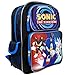 Sonic the Hedgehog Blue 16