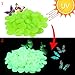 Tomnk 200PCS Glow Stones in the Dark Glow Pebble for Garden Walkway and Decor, 4 Colors, with Gift of Glow in the Dark Butterfly