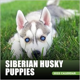 Calendrier Husky 2023 Amazon.co.jp: 2022 Cute Siberian Husky Puppies Calendar: A Great Animal For  Anyone Lover Siberian Husky Puppies To Welcome A New Year | Calendario Calendrier  Kalender 2022 | Bonus 4 Months 2023. Lunar