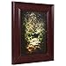 Craig Frames FM97MA 11 by 14-Inch Picture Frame, Smooth Wrap Finish, 2-Inch Wide, Mahogany