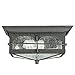 Home Decorators Collection Flushmount 2-Light Outdoor Aged Iron Lantern