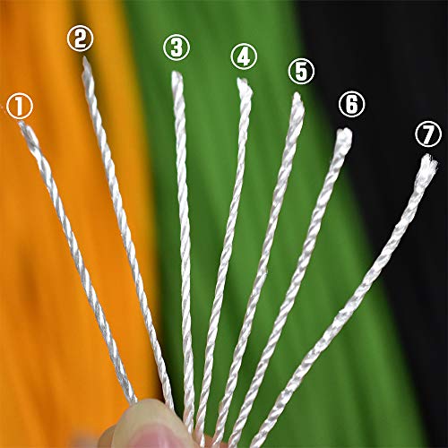 HomTop 550 Paracord 7 Strand Nylon Parachute Cord Outdoor Survival Rope – 100Feet Length 100% Nylon Mil-SPEC 550lbs Breaking Strength (Black)