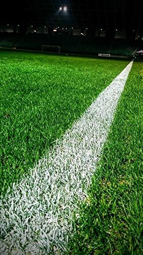 Amazon Com Home Comforts Football Soccer Football Field Field