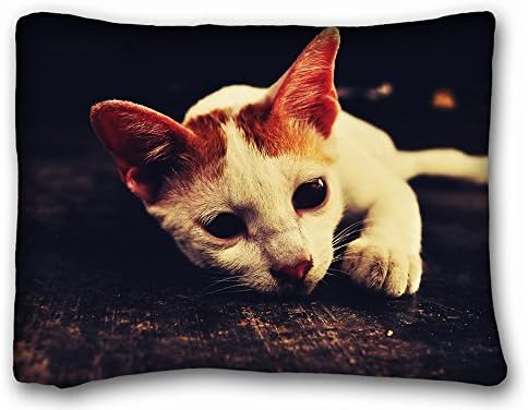 Decorative Standard Pillow Case Animals cat cat is abalone white 20"*26" One Side