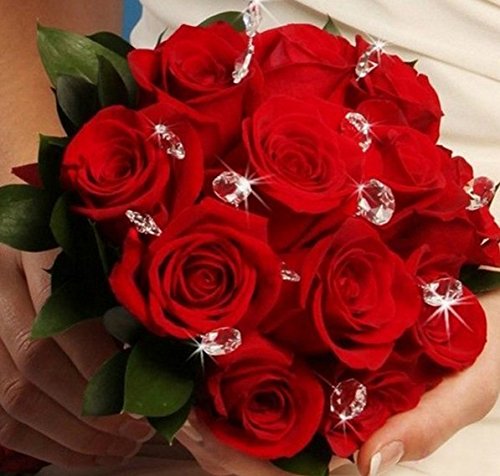 4 Bingcute+Confetti+Decorations+Birthdays+Graduations