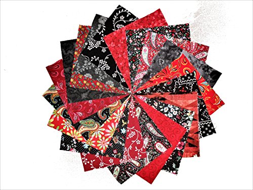 20 10x10