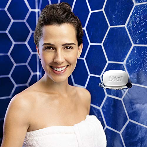 Dial Skin Care Bar Soap, White Tea & Vitamin E, 4 Ounce, 3 Bars