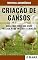 Livro Criação de Gansos | Guia completo ensinando passo a passo os métodos de criação