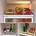 Feamos 1Pc Storage Collecting Box Basket Kitchen Refrigerator Fruit Organiser Rack Utility