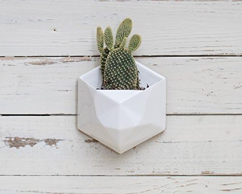 White geometric hexagon ceramic wall hanging planter with wood back