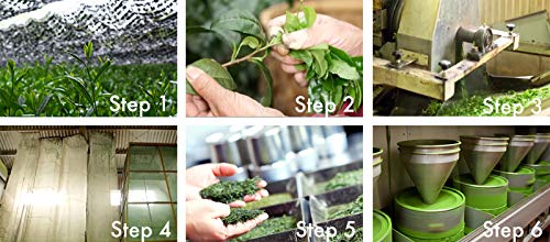 image for eco heed Matcha Green Tea Powder - Superior Culinary - USDA Organic Fr