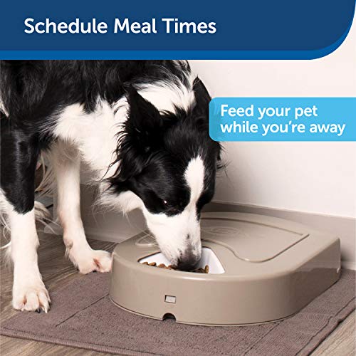 PetSafe 5 Meal Automatic Pet Feeder, Dog and Cat Dry Food Dispenser, with Digital Clock and Portion Control, 1 Cup… - Image 3