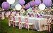 Sonnis Paper Lanterns 12