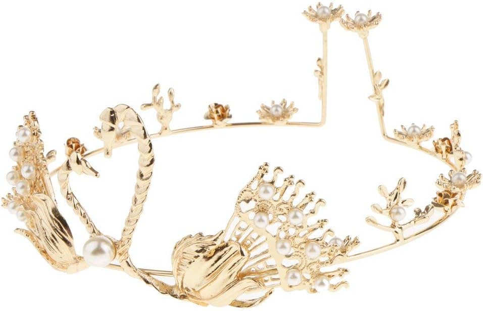 Tubayia Women's Swan Hair Crown Tiara Princess Crown Headband with Beads for Wedding Party Banquet